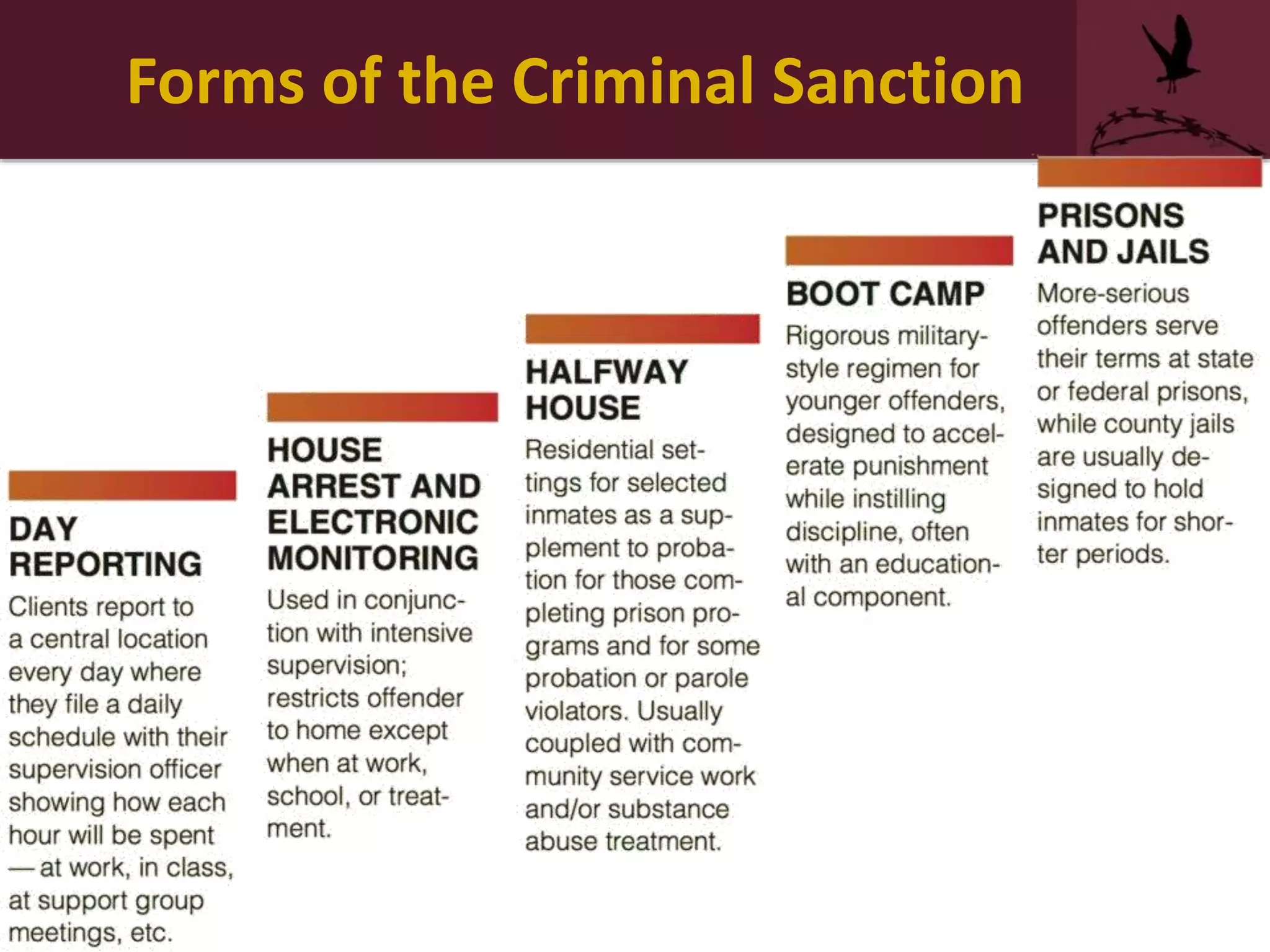 Forms of the Criminal Sanction
 