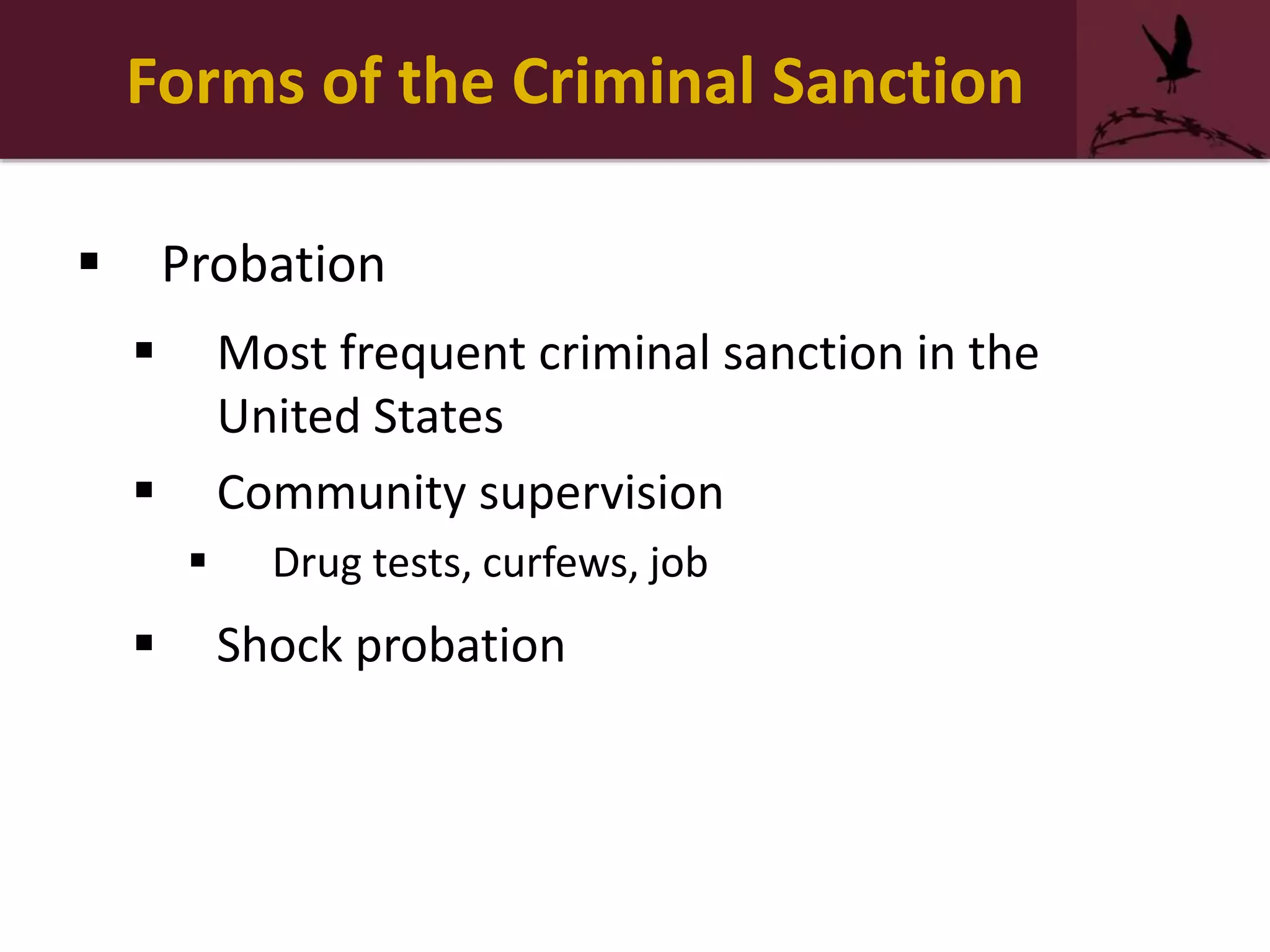 Forms of the Criminal Sanction
 Probation
 Most frequent criminal sanction in the
United States
 Community supervision
 Drug tests, curfews, job
 Shock probation
 