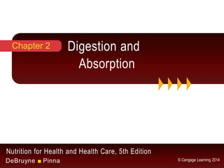 Nutrition for Health and Health Care, 5th Edition
DeBruyne ■ Pinna © Cengage Learning 2014
Digestion and
Absorption
Chapter 2
 