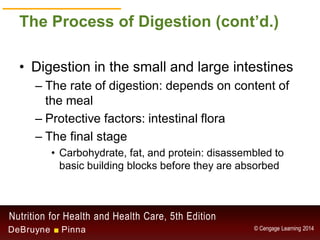 Chapter 2 - Digestion and Absorption | PDF