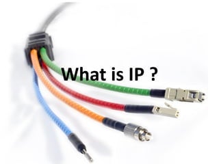 What is IP ?
 