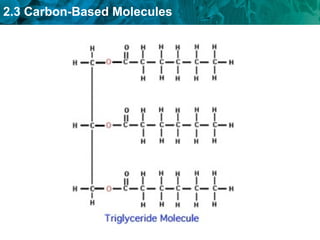 2.3 Carbon-Based Molecules
 