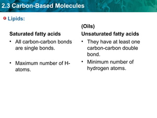2.3 Carbon-Based Molecules
Lipids:
Saturated fatty acids
• All carbon-carbon bonds
are single bonds.
• Maximum number of H-
atoms.
(Oils)
Unsaturated fatty acids
• They have at least one
carbon-carbon double
bond.
• Minimum number of
hydrogen atoms.
 