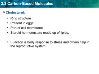 2.3 Carbon-Based Molecules
Cholesterol:
• Ring structure
• Present in eggs
• Part of cell membrane
• Steroid hormones are made up of lipids.
• Function is body response to stress and others help in
the reproductive system.
 