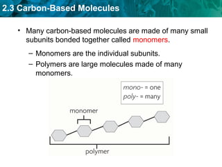 2.3 Carbon-Based Molecules
• Many carbon-based molecules are made of many small
subunits bonded together called monomers.
– Monomers are the individual subunits.
– Polymers are large molecules made of many
monomers.
 