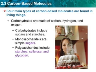 2.3 Carbon-Based Molecules
Four main types of carbon-based molecules are found in
living things.
• Carbohydrates are made of carbon, hydrogen, and
oxygen.
– Carbohydrates include
sugars and starches.
– Monosaccharide's are
simple sugars.
– Polysaccharides include
starches, cellulose, and
glycogen.
 