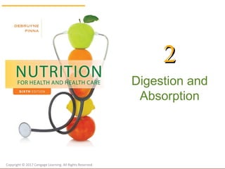 Digestion and
Absorption
22
Copyright © 2017 Cengage Learning. All Rights Reserved.
 