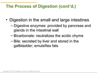 Chapter 2: Digestion and Absorption | PPT