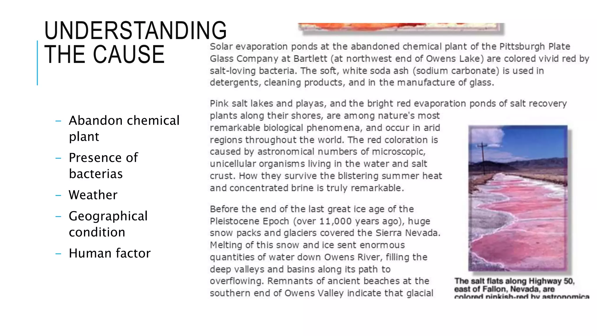- Abandon chemical
plant
- Presence of
bacterias
- Weather
- Geographical
condition
- Human factor
UNDERSTANDING
THE CAUSE
 