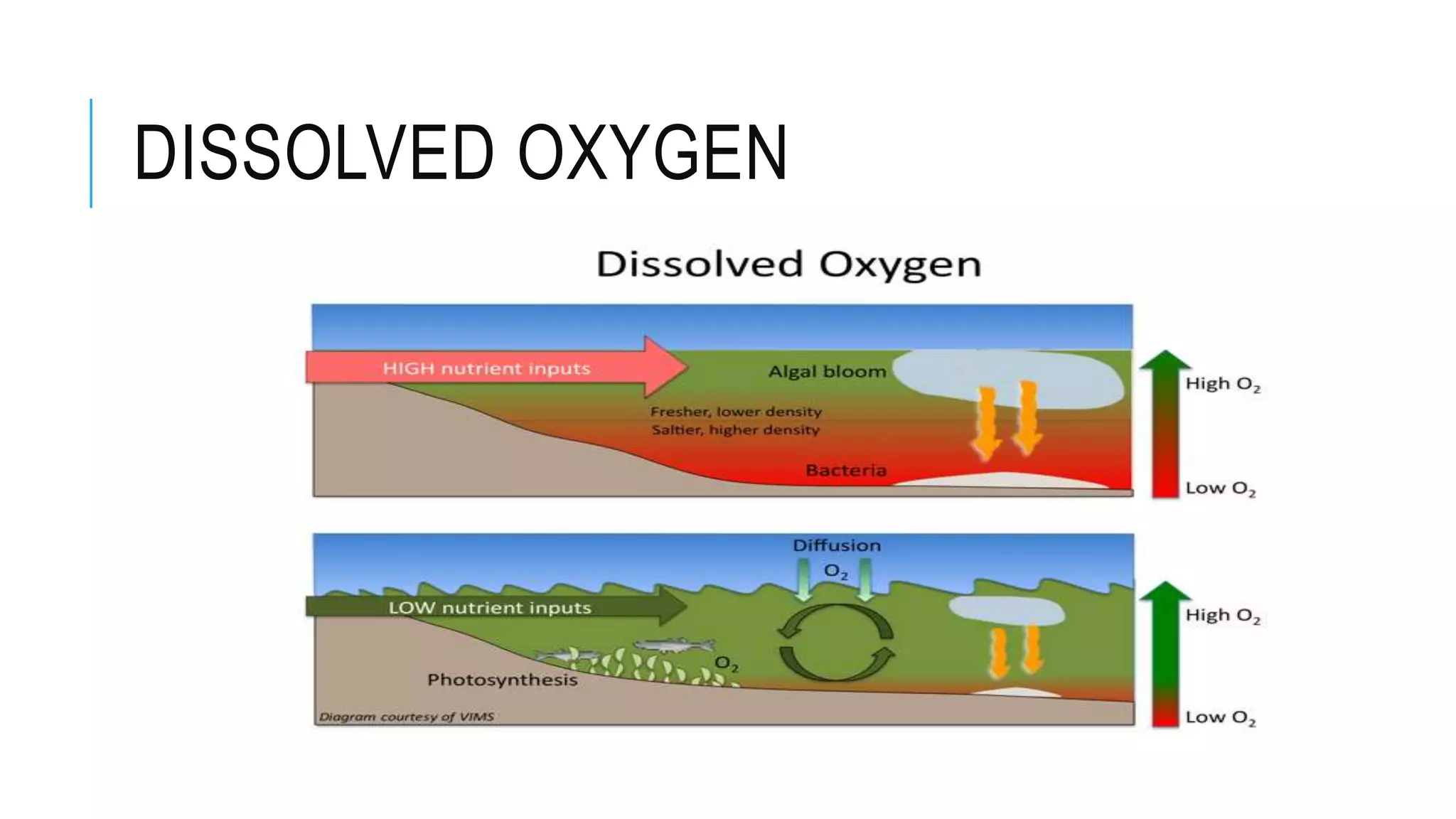 DISSOLVED OXYGEN
 