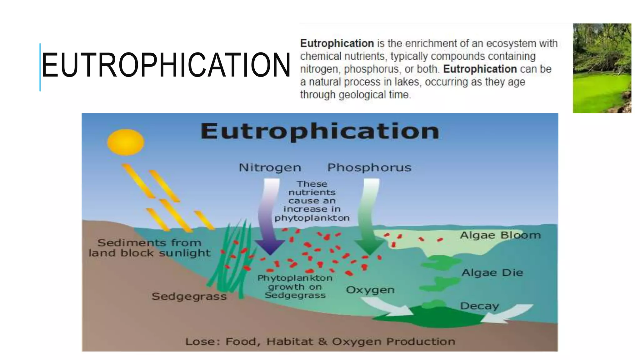 EUTROPHICATION
 