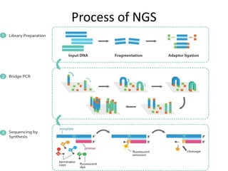 Chapter 2.4 tmb and ngs | PPTX