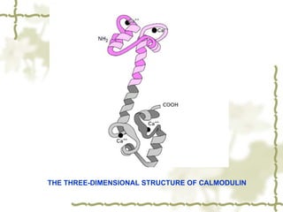 Basic concept of the Cell biology of humen being Chemistry of Cells.ppt