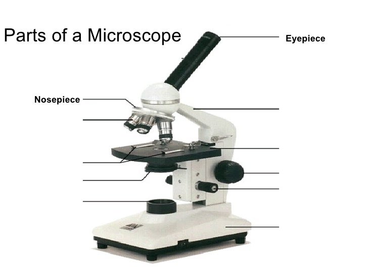 Chapter 2 1 (microscopes)