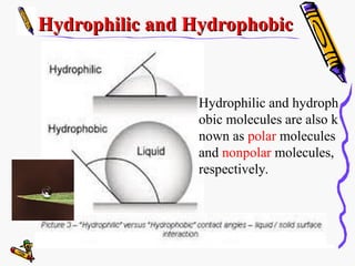 Hydrobolic chapter2-1 The molecular composition of cells (2).ppt