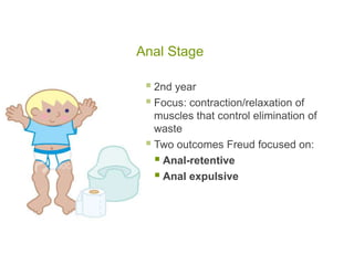 Anal Stage2nd yearFocus: contraction/relaxation of muscles that control elimination of wasteTwo outcomes Freud focused on:Anal-retentiveAnal expulsive