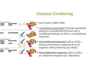 Classical ConditioningIvan Pavlov (1849-1936)“Learning by association” through repeatedly pairing a unconditioned stimulus with a conditioned stimulus to elicit a unconditioned response. Unconditioned stimulus (US or UCS) – stimulus that elicits a response from an organism without learning (ex. Meat)Unconditioned response (UR or UCR) – an unlearned response (ex. Salivation).  