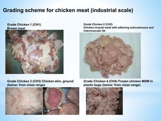Grade Chicken 1 (CH1)
Breast meat
Grade Chicken 2 (CH2)
Chicken muscle meat with adhering subcutaneous and
intermuscular fat
Grade Chicken 3 (CH3) Chicken skin, ground
(below: from close range)
Grade Chicken 4 (CH4) Frozen chicken MDM in
plastic bags (below: from close range)
Grading scheme for chicken meat (industrial scale)
 
