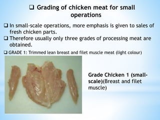  Grading of chicken meat for small
operations
 In small-scale operations, more emphasis is given to sales of
fresh chicken parts.
 Therefore usually only three grades of processing meat are
obtained.
 GRADE 1: Trimmed lean breast and filet muscle meat (light colour)
Grade Chicken 1 (small-
scale)(Breast and filet
muscle)
 