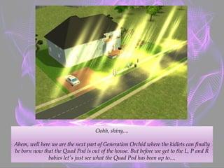 Oohh, shiny....
Ahem, well here we are the next part of Generation Orchid where the kidlets can finally
be born now that the Quad Pod is out of the house. But before we get to the L, P and R
babies let's just see what the Quad Pod has been up to....﻿
 
