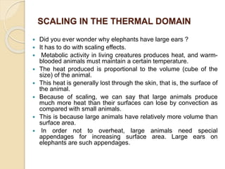 SCALING IN THE THERMAL DOMAIN
 Did you ever wonder why elephants have large ears ?
 It has to do with scaling effects.
 Metabolic activity in living creatures produces heat, and warm-
blooded animals must maintain a certain temperature.
 The heat produced is proportional to the volume (cube of the
size) of the animal.
 This heat is generally lost through the skin, that is, the surface of
the animal.
 Because of scaling, we can say that large animals produce
much more heat than their surfaces can lose by convection as
compared with small animals.
 This is because large animals have relatively more volume than
surface area.
 In order not to overheat, large animals need special
appendages for increasing surface area. Large ears on
elephants are such appendages.
 