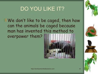 https://techteacherwithallsolutions.com/ 20
DO YOU LIKE IT?
We don’t like to be caged, then how
can the animals be caged because
man has invented this method to
overpower them?
 