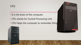 CPU
• It is the brain of the computer.
• CPU stands for Central Processing Unit
• CPU helps the computer to remember things.
 