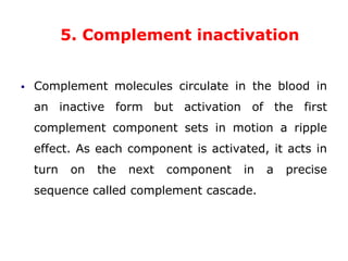 Turnkey Complement Chapter 2.ppt