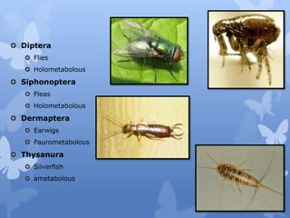 Chapter 2. Taxonomy.pdf