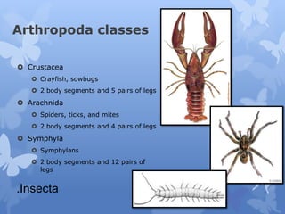 Are Strandi Chapter 2. Taxonomy.pdf