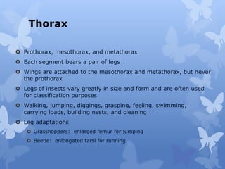 Chapter 2. Taxonomy.pdf