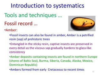 Introduction to systematics
Tools and techniques …
Fossil record …
•Amber:
•Fossil insects can also be found in amber, Amb...