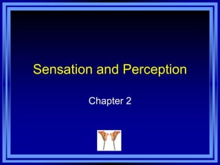 Sensation and Perception
Chapter 2
 