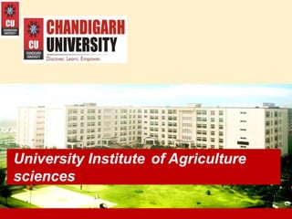 1
University Institute of Agriculture
sciences
 