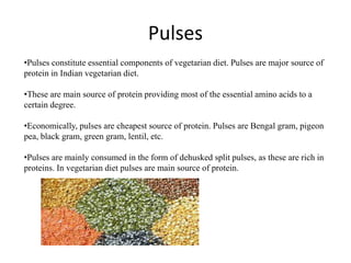 •Pulses constitute essential components of vegetarian diet. Pulses are major source of
protein in Indian vegetarian diet.
•These are main source of protein providing most of the essential amino acids to a
certain degree.
•Economically, pulses are cheapest source of protein. Pulses are Bengal gram, pigeon
pea, black gram, green gram, lentil, etc.
•Pulses are mainly consumed in the form of dehusked split pulses, as these are rich in
proteins. In vegetarian diet pulses are main source of protein.
Pulses
 