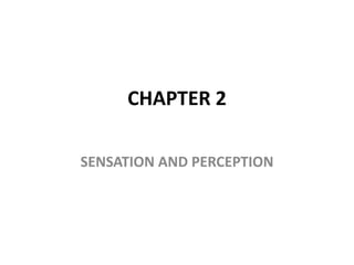 CHAPTER 2
SENSATION AND PERCEPTION
 