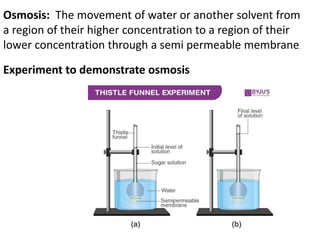 Osmosis: The movement of water or another solvent from
a region of their higher concentration to a region of their
lower concentration through a semi permeable membrane.
Experiment to demonstrate osmosis
 
