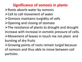 Significance of osmosis in plants
Roots absorb water by osmosis
Cell to cell movement of water
Osmosis maintains turgidity of cells
Opening and closing of stomata
The resistance of plants to drought and drought
increase with increase in osmotic pressure of cells.
Movement of leaves in touch me not plant and
bursting of dry fruits
Growing points of roots remain turgid because
of osmosis and thus able to move between soil
particles .
 