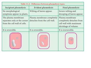 Chapter 2.2 Diffusion, osmosis and imbibition.pptx