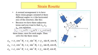 Strain Rosette
 