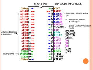 Multiplexed address
& status pins
Multiplexed address & data
pin
Select Minimum/ maximum
mode
Multplexed address
and data bus
Interrupt Pins
 