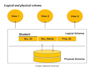 Logical and physical schema
 
