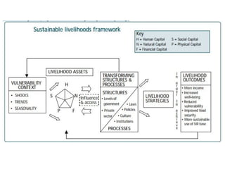Climate Change Vulnerability Assessment Mitigation and Adaptation.pptx