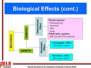 biological effect of ionizing radiation | PPT