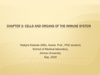 Comprehensive Overview of Immune System Cells and Organs | PDF