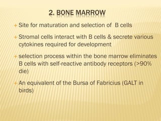 Comprehensive Overview of Immune System Cells and Organs | PDF