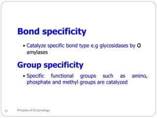 Group Specificity Example Comprehensive Principles of Clinical Enzymology and Enzyme Kinetics | PDF