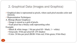 Bitmap Image Representation Comprehensive Guide to Data Representation in Computing Systems | PDF