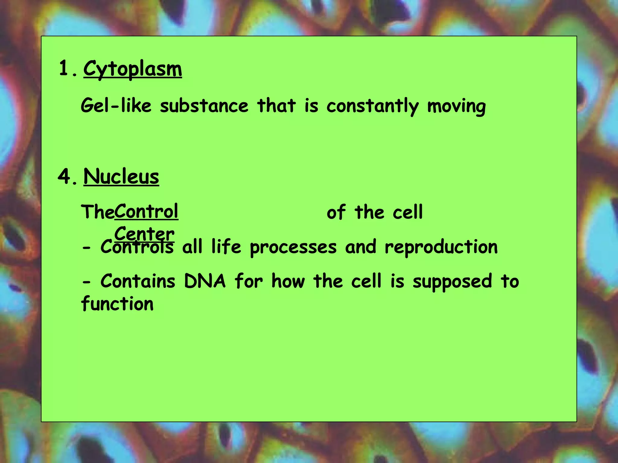 Gel-like substance that is constantly moving The  of the cell - Controls all life processes and reproduction - Contains DNA for how the cell is supposed to function  Cytoplasm Nucleus Control Center 