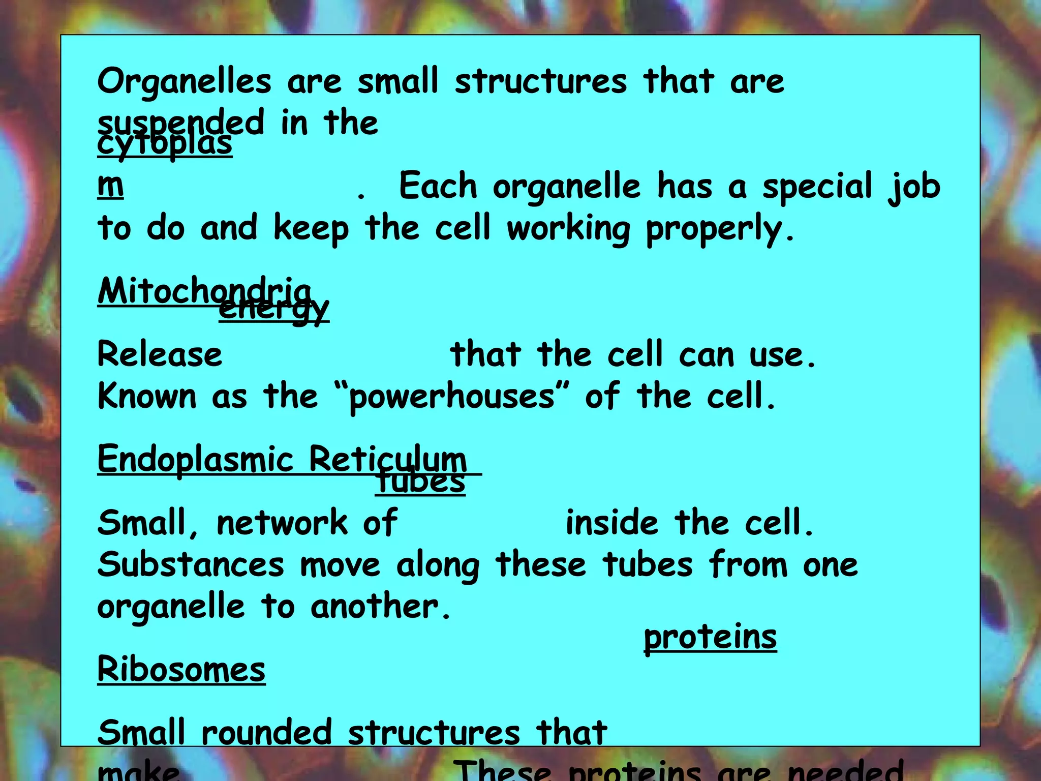 Organelles are small structures that are suspended in the  .  Each organelle has a special job to do and keep the cell working properly.  Mitochondria Release  that the cell can use.  Known as the “powerhouses” of the cell.  Endoplasmic Reticulum  Small, network of  inside the cell.  Substances move along these tubes from one organelle to another. Ribosomes Small rounded structures that make  .  These proteins are needed for growth  and are involved in the cell processes.  cytoplasm energy tubes proteins 